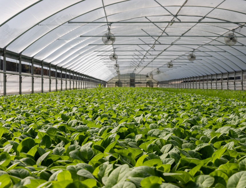AgTech C1